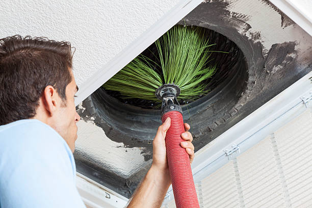 Best Air Duct Cleaning Near Me  in Glenmora, LA